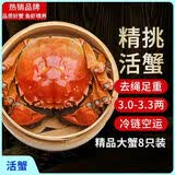 【活蟹】漁家师傅大闸蟹六月黄3.0-3.3两8只去绳足重鲜活螃蟹现货生鲜礼盒 源头直发