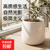 北欧花盆陶瓷白色清仓特价创意个性大号特大号带托盘家用阳台简约 白色 大