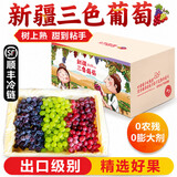 【顺丰】新疆葡萄 火焰玻璃翠无核三色白葡萄脆甜马奶提子水果 三色葡萄 4斤净重 至尊果【送礼首选】