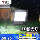 公牛（BULL）LED投光灯路灯庭院灯工地灯露营灯 IP65防水高亮度30W-6500K白光