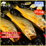 黄小渔【冰鲜】宁德大黄鱼3斤/6条 黄花鱼生鲜海鲜 家宴送礼 源头直发