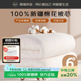 源生活 100%正宗新疆手采棉被 纯棉棉絮春秋被子被芯加大 6斤220*240cm