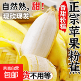 苹果蕉新鲜广西香蕉自然熟芭蕉香甜粉糯万澄现摘生鲜现发水果 带箱3斤