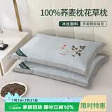 艾薇荞麦枕头夏季100%荞麦壳带冰丝枕套枕芯一个装 叶子灰 35*55cm