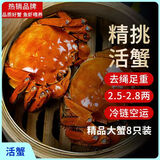 【活蟹】漁家师傅大闸蟹六月黄2.5-2.8两8只去绳足重鲜活螃蟹现货生鲜礼盒 源头直发