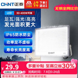 正泰（CHNT）led投光灯户外射灯室外照明灯庭院灯探照灯20W