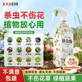 巨奇花卉室内植物杀虫剂盆栽绿植小黑飞蚜虫花卉绿植盆栽园艺升级款