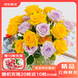 京东鲜花云南昆明基地随机色玫瑰鲜切花束买20枝送10枝鲜花源头直发