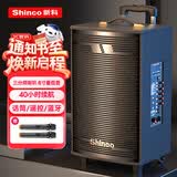 新科（Shinco）T30 广场舞音响户外拉杆音箱大功率家用K歌无线蓝牙大音量扩音器便携式低音炮 8吋双咪