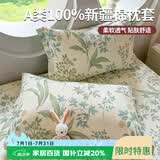 艾薇 A类枕头套枕套一对纯棉家用全棉单人枕套枕芯套 绿野仙踪48*74cm