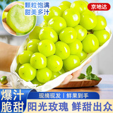 京地达阳光玫瑰葡萄青提子新鲜水果送礼净重4.8斤单果均12g+源头直发