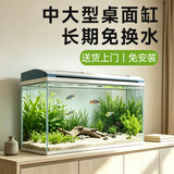 长锐鱼缸客厅大型造景生态超白玻璃家用办公室免换水水族箱 【超白80cm长鱼缸】送货上门免安装