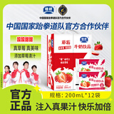 银桥酸甜草莓牛奶饮品200ml*12袋装含乳饮料陕西老字号喝的学生 200mlx12袋