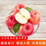 【霜沁苹果】延安洛川霜沁红富士苹果12枚 霜降后苹果 新鲜水果 自然熟不套袋 升级款12枚85-90mm