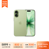 Apple/苹果  iPhone 17 256GB 鼠尾草绿色 支持移动联通电信5G 双卡双待手机 MG714CH/A*企业专享