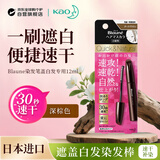 花王（KAO）Blaune染发笔深棕色12ML遮盖白染发棒速干补染棒进口