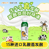 晨光 酸奶酸牛奶饮品240g*12瓶低温早餐牛奶