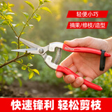 Ronix德国园艺剪果树修枝剪刀园林剪花枝花艺剪刀修花 省力园林剪刀