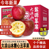 鲸咚亿农大凉山盐源冰糖心丑苹果四川野苹果脆甜新鲜水果中秋礼盒整箱 9.5-10斤大果精选带箱净重8.6斤