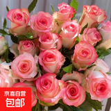 云南基地直发玫瑰鲜花全国速递配女友生日礼物家用水养插京东快递 艾莎玫瑰(16支+4支防损耗)+送保鲜剂