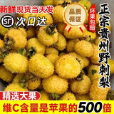 鲜级佳野生刺梨贵州特产【顺丰冷链】鲜果维C泡酒泡茶现摘农产品水果 净重鲜果3斤【普通冷链】 高山野生 颗颗甄选