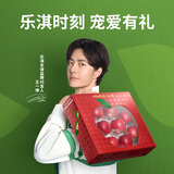 乐淇（ROCKIT）王一博同款新西兰火箭筒苹果10粒装 生鲜水果礼盒 源头直发