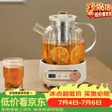 乐扣乐扣 养生壶 煮茶器  煮茶壶办公室家用玻璃花茶壶烧水壶电热水壶电炖壶 EJK3315白色（含茶漏） 1L