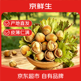 京鲜生东北青皮水仁鲜榛子净重5斤单果10mm+新鲜现摘山野本味源头直发