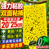 KOOGIS粘虫板球黄板双面诱虫板粘苍蝇贴灭蚊贴果蝇飞蛾小飞虫诱捕器