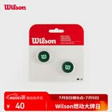 Wilson威尔胜BLADE V10系列网球拍避震器2只装