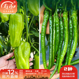 寿禾 各种蔬菜苗活苗带土发货大全菜苗夏秋秧苗山东寿光苗种子阳台 [薄皮辣椒线椒苗]各3棵