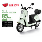 五星钻豹电动摩托车G15长续航电动车60V20AH铅酸电池智能男女代步电瓶车外卖通勤高速电摩绿