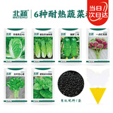 北蔬 蔬菜种子黄瓜白菜空心菜快菜苋菜耐热种籽 6种耐热蔬菜种子套装