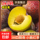 现摘现发四川小脆红李新鲜李子生鲜水果孕妇可食 单果15g+ 带箱5斤