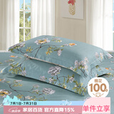 艾薇 A类枕头套纯棉家用全棉单人枕套一对枕芯套 清馨花园 48*74cm