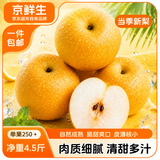 京鲜生安徽砀山新玉梨净重4.5斤 单果250g+ 新鲜水果 清凉补水 源头直发