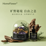 HomeFlower扩香石香薰礼盒晶石香氛摆件送女生日礼物乔迁伴手礼实用高级 紫水晶-乌木沉香