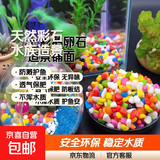 鱼缸水族天然鹅卵石彩色石子 底部造景砂石底砂盆栽铺面石头 五彩石【300g】1袋