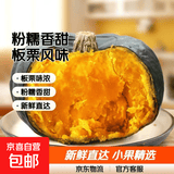 京喜加百万复购贝贝南瓜板栗味小南瓜正宗新鲜粉糯香甜单果100g起 贝贝南瓜 2斤 带箱 小果
