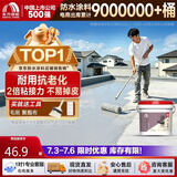 雨虹防水 楼顶屋顶防水补漏材料耐高温防晒 防水涂料屋顶防水 房屋补漏