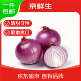 京鲜生河南紫皮洋葱 净重5斤 单果150g+ 新鲜蔬菜 源头直发 自营包邮