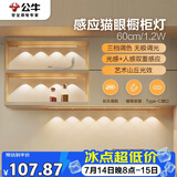 公牛（BULL）感应猫眼橱柜灯磁吸充电山丘光效展柜玄关氛围小夜灯 银60cm三色