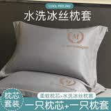 南极人（Nanjiren）夏季冰丝枕头 枕套+枕芯一对套装成人睡觉专用颈椎枕单人宿舍男枕 芝兰紫【枕套+枕芯】一对装