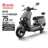 台铃电动摩托车超能S·苍穹75公里长续航电动车1200W高速电摩72V23Ah石墨烯电池通勤代步电瓶车松霜绿
