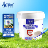 兰格格草原酸奶 八旗菌原味凝酪760g*1  低温酸奶产地乌兰察布 源头直发