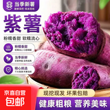 紫罗兰红薯沙地现挖紫薯宝宝辅食紫芋头山芋苕粗粮新鲜包邮 湖北紫薯1斤中小果 含箱