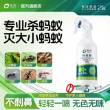 皎洁蚂蚁药一窝全窝非特效端杀虫剂喷雾家用驱除灭杀黑红小蚂蚁500ml
