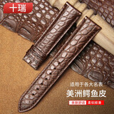 十瑞（SHIRUI）进口美洲鳄鱼皮表带男女适用于浪琴名匠天梭力洛克万国积家欧米茄卡地亚真皮手表带 棕色棕线【无扣款】 19mm