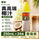 椰树 真高端 椰汁 250ml*24瓶 植物蛋白饮料 正宗海南特产 整箱装
