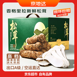 京地达云南香格里拉野生新鲜松茸7-9cm 净重250g 出口级未开伞源头直发